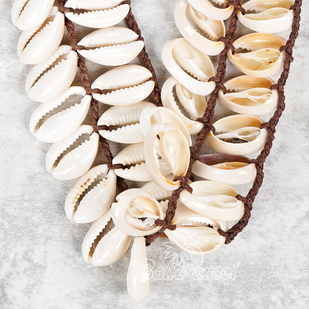 Cowrie Shell Belt