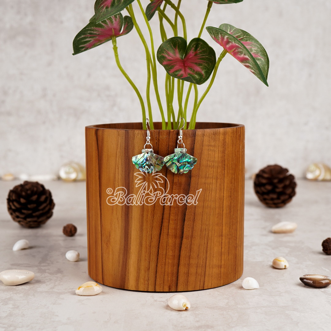 Paua Shell Earring