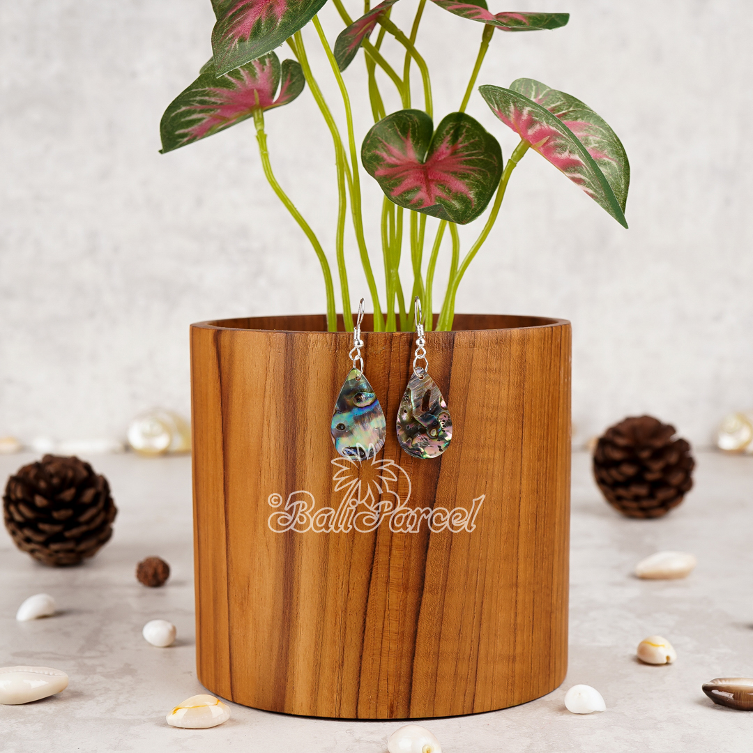 Paua Shell Earring