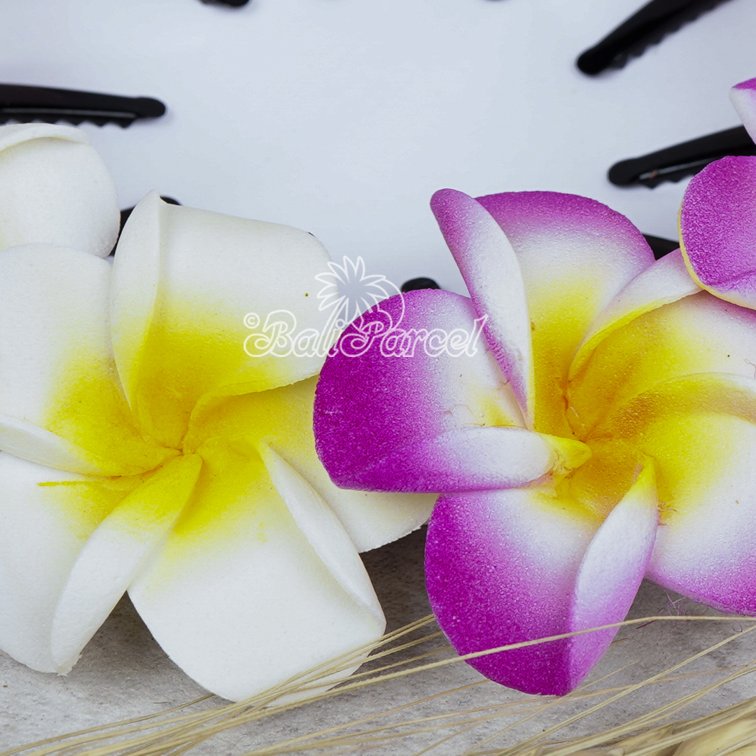 Hair Clip Plumeria