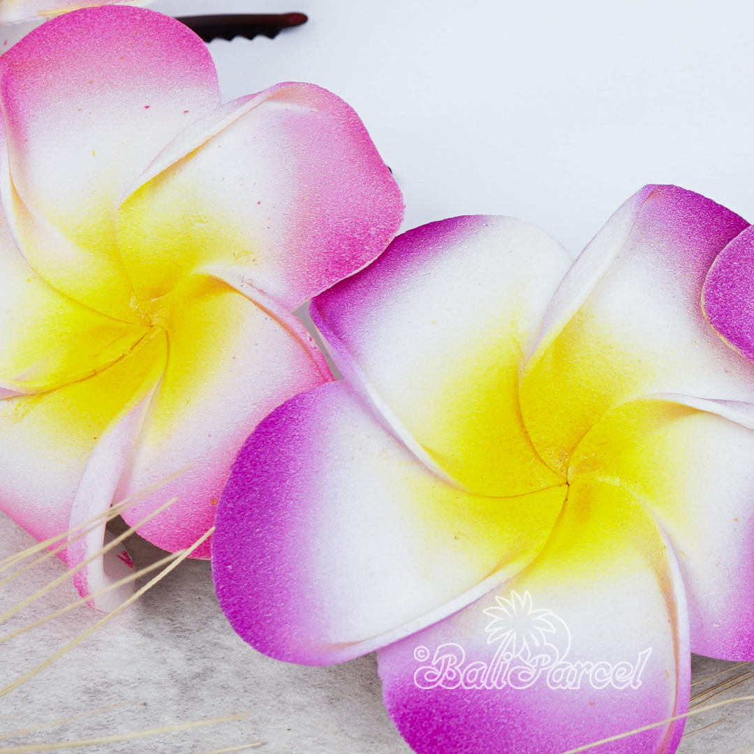 Hair Clip Plumeria