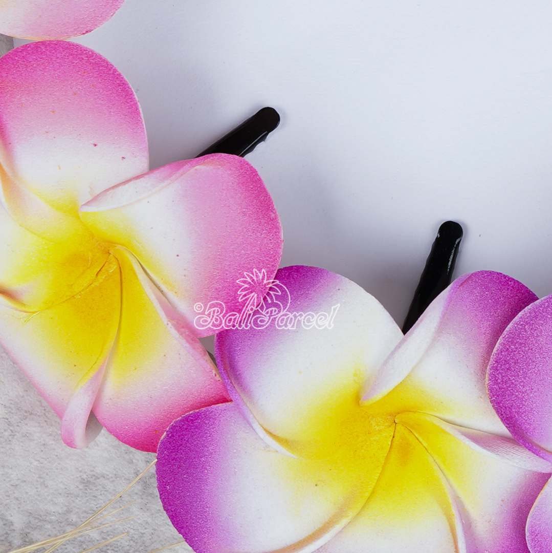 Hair Clip Plumeria